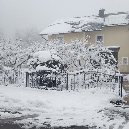 Drago Kremenjas Apartamento Delnice Exterior foto