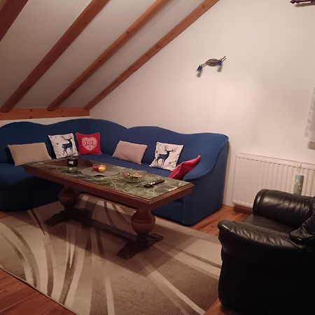 Drago Kremenjas Apartamento Delnice Exterior foto