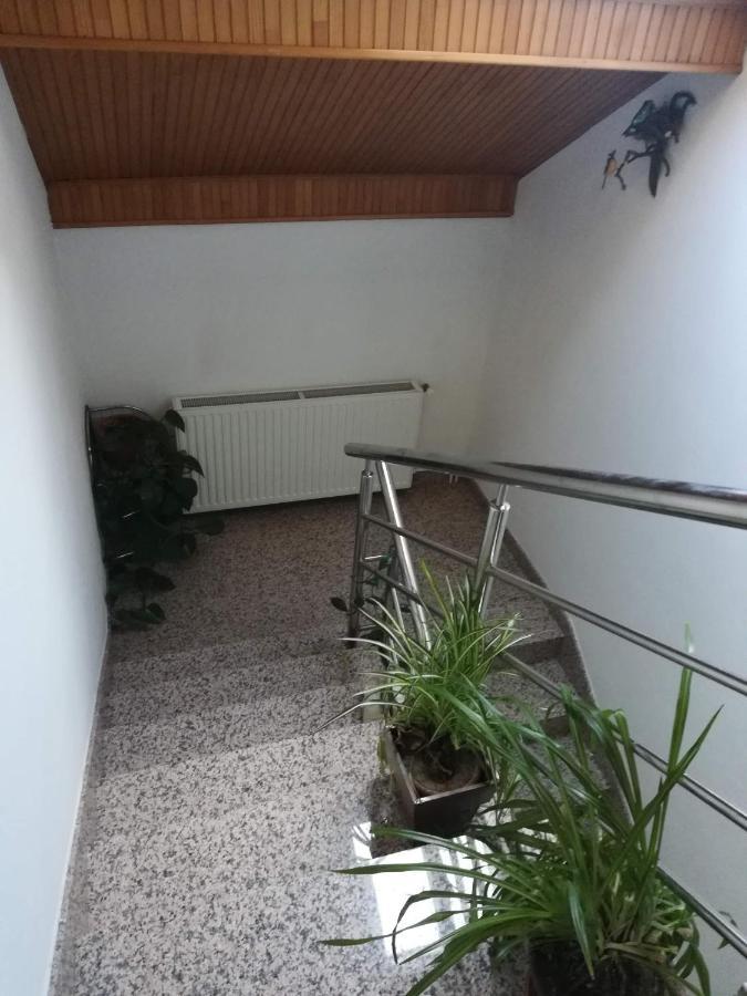 Drago Kremenjas Apartamento Delnice Exterior foto