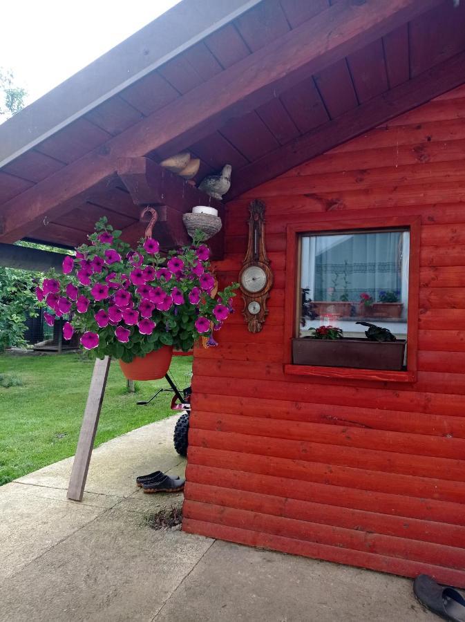 Drago Kremenjas Apartamento Delnice Exterior foto