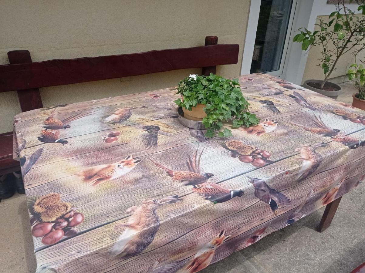 Drago Kremenjas Apartamento Delnice Exterior foto